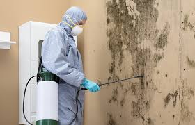 Trusted Edinburg, IL Mold Prevention & Removal  Experts